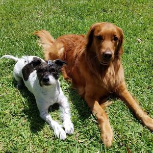 Meet your Posher, Eileen